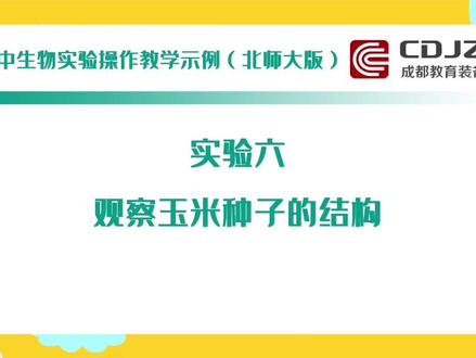 实验六:玉米。望大家多关注哈,您的支持就是我搬砖最大的动力!
#初二生物 #实验操作考试 #成都中考 #成教音画 #初中生物考试 #初中生物实验 #初中实验考试 #实验教学