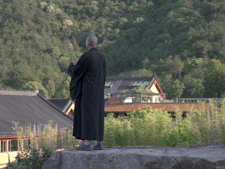 中年上岸,才是人生恰逢其时的圆满。#人生智慧 #修心修行 #中年人