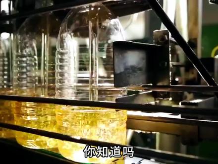 你知道为什么大部分油都是葵花籽榨的吗? #葵花籽