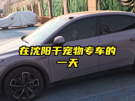 回答一下怎么加入的问题#宠物专车 #人宠同行 #狗狗坐车 #养宠人 #狗狗