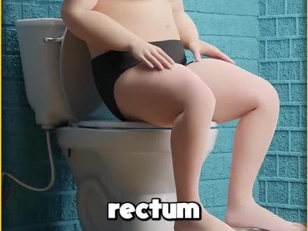 你知道身体是如何消化食物的吗#科普 #科普一下 #涨知识