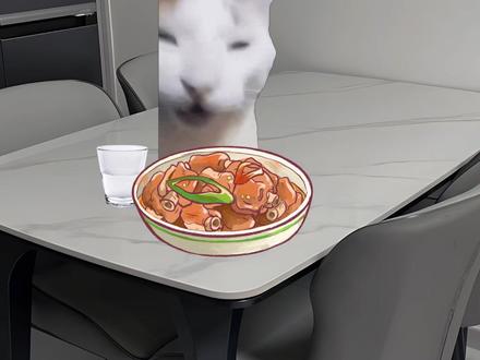 云南人对附子的执着 #猫meme #搞笑 #附子 #云南人