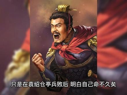 【英雄传】先辅袁绍,后辅袁谭,袁绍阵营幕僚——辛评 #辛评 #三国