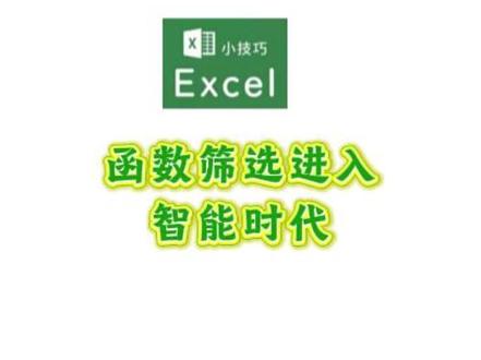 #上热门 #拍拍2024 excel筛选革命fitler 函数让数据筛选进入智能时代