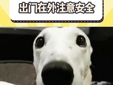 女孩子出门在外一定要注意安全 #跟踪 #安全出行 #吓人 #娱你安利