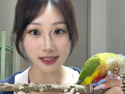 谁还没拥有鹦鹉磨抓神器,再也不怕被抓伤了! 既能当站杆,还可以磨爪磨嘴,简直不要太划算#云吸鹦鹉 #新手养鹦鹉 #鹦鹉 #手养鹦鹉 #小太阳鹦鹉