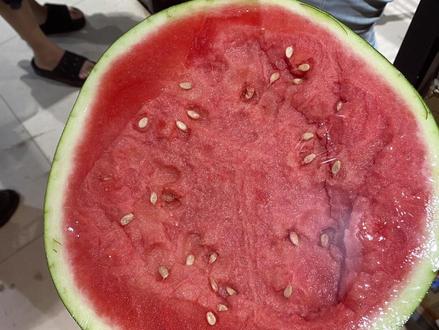 明明说好的呢#熊大 #废话文学