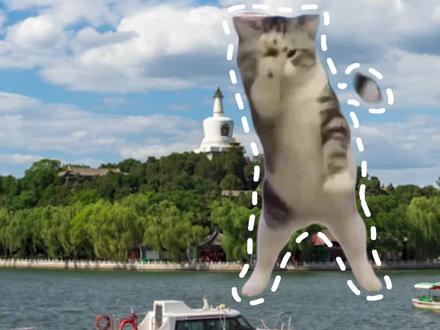 #文旅西城 官方账号终于到手啦!接着奏乐接着舞!#猫meme #官方号为了涨粉有多努力 @DOU+小助手