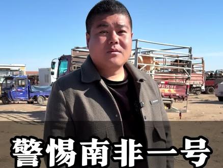 南非一号,会产生什么样的影响#服务三农支持三农 #养牛人#口蹄疫#万犇牧业