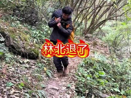 第10天,林北选择退赛了!