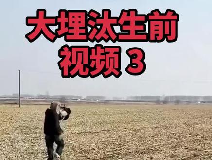 鸵鸟大埋汰生前视频 3 ,开车追大埋汰#鸵鸟被大车撞了后续 #鸵鸟埋了之后被人挖出来偷走了
