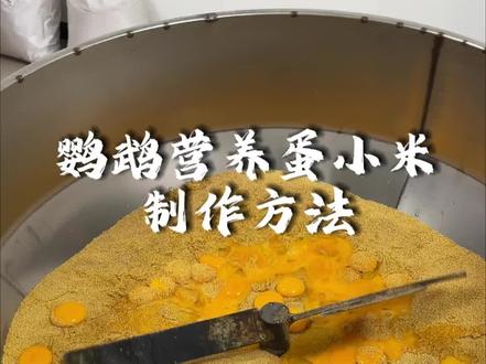 鹦鹉营养蛋小米制作方法,适合虎皮,牡丹,玄凤,和尚,小太阳,文鸟类,都能吃#鹦鹉蛋小米制作 #蛋小米制作方法 #蛋小米鹦鹉饲料