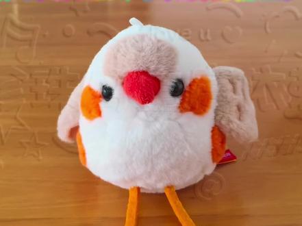 珍珠鸟粉丝头像😡😡😡😡😡!!!#珍珠鸟 #语文书 #可爱 #粉色头像 #珍珠鸟重度依赖