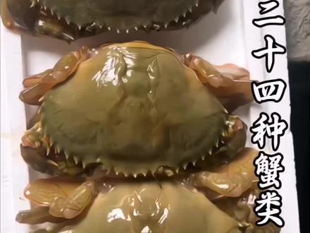 科普分享24种螃蟹以及价格,你都吃过哪几种#科普#螃蟹
