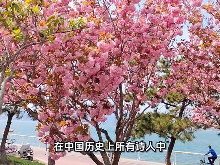 在中国所有诗人中,能被称为“伟大的”诗人的,有且仅有这5位
第1位伟大的诗人 战国的屈原
屈原是中国文学史上第一位伟大的爱国诗人,他创造了以《离骚》为代表的“骚体”,开创了中国浪漫主义诗歌的先河,对后世影响极大。
第2位伟大的诗人 东晋的陶渊明
陶渊明是“田园诗派”的创始人和代表者,他的诗歌以清新自然、恬静高远、意境深远而著称,对后世文学尤其山水田园诗派产生了深远的影响。
陶渊明的诗歌主要表现了他对自然、人生、社会等方面的思考和感悟,具有深刻的哲学内涵和独特的艺术风格。
第3位伟大的诗人 唐朝的李白
“诗仙”李白是唐朝最伟大的浪漫主义诗人,对浪漫主义诗歌的发展具有承前启后的重要作用。他的古体诗和七绝水平尤其高,都堪称史上第一。
李白的诗想象力丰富,用语自然,犹如天然存在一般。其诗歌气势磅礴,情感激昂,意境奇妙,常常运用比喻、象征、拟人等手法,表达了他对人生、自然、功名、社会等主题的独特感悟,使读者产生强烈的共鸣,艺术价值非常高。
第4位伟大的诗人 唐朝的杜甫
“诗圣”杜甫是唐朝伟大的现实主义诗人,“杜甫一生愁”,他忧国忧民,其诗歌关注社会现实,反映了唐代社会的种种问题和人民的疾苦,具有强烈的社会责任感。
李白是“天才”,杜甫是“地才”,他将律诗的严谨性和艺术性发挥到了极致,是当之无愧的“律诗第一人”,对后世律诗的创作影响极大。
第5位伟大的诗人 唐朝的白居易
白居易是史上至今为止最后一位伟大的诗人,作为高官,白居易利用诗歌抒发忧国忧民的情怀,他关心百姓疾苦,他的诗体现了他对人类命运的关注和对生命的热爱。
白居易写诗自然,通俗易懂,反映社会现实,他和元稹一起发起了新乐府运动,对诗歌沿着健康的道路发展做出了突出的贡献。