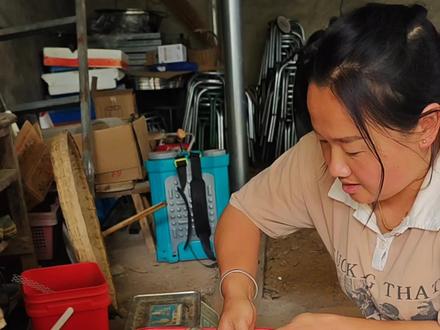 可爱的小鹅,出壳了#小鹅#养殖#记录真实生活