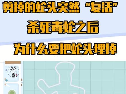 剪掉的蛇头突然“复活”,杀死毒蛇之后要把蛇头埋掉?这是为何?(二) #知识科普 #蛇类科普 #蛇头