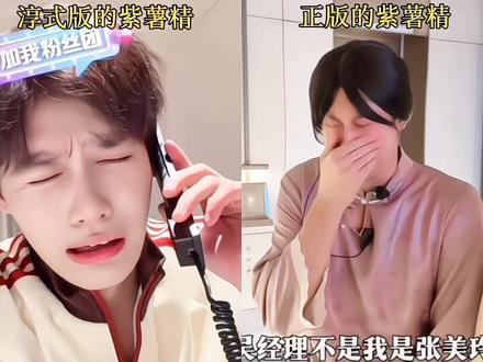 我真没招了 笑死我了@柯淳 #柯淳 #紫薯精