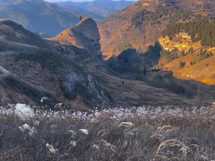 燕子洞神仙架你肯定去了,卒落的佛爷崖你去过没#宝鸡周边一日游好去处 #自驾游 #徒步