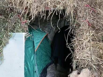 大家好,我是小凯,谢谢大家的关心和鼓励、小凯一定会努力去改变自己#记录真实生活 #记录我的农村生活 #情感户外