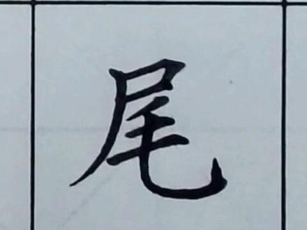 #规范字教学 #书法大仙字帖同步视频 三年级上册生字 尾