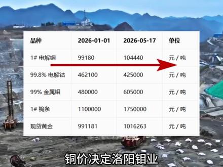 东方财富+洛阳钼业 东方财富和洛阳钼业背后的瓶颈真相!#东方财富 #洛阳钼业 #股票 #股民交流 #大宇擒龙