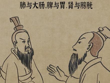 “五脏与六腑”#涨知识 #冷知识 #每天冷知识 #文化 #知识 #知识分享