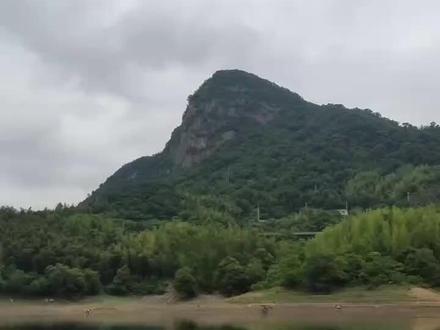 磨子潭水库一天的钓获,鲤鱼太多钓的不爽!#水库野钓
