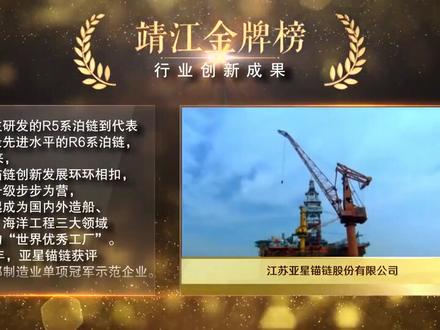 #靖江 金牌榜上榜企业:江苏亚星锚链有限公司