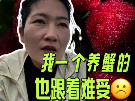 杨梅泡水上热搜,我一个养蟹的也跟着难受! #新农人新计划 #创作者中心 #创作灵感 #杨梅泡药 #食品安全
