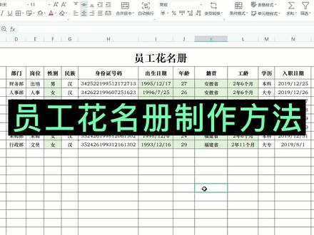 员工花名册表格,花名册常用函数公式,真干货,请收藏! #excel技巧 #excel教学