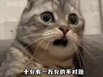 “我是公司用来要挟你们的筹码,而我无能为力。对不起”#苏新皓