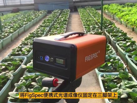 植物表型高光谱测量#高光谱 #高光谱相机