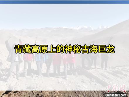 喜马拉雅鱼龙化石的再次发现,为了解地壳板块运动和生命演化历史更增添了浓墨重彩的一笔#青藏科考