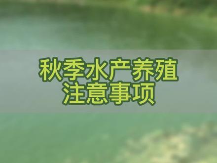 秋天降温水产养殖要注意些什么?#水产养殖 #养鱼 #养虾 #降温
