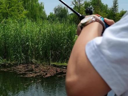 卸力报警到底好不好?本期为你解答!#氢羽路亚 #氢羽水滴轮 #超轻量超好抛 #出发吧伟大的钓手 #路亚