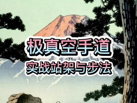 #极真空手道 实战步法教学 #空手道 #功夫