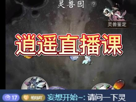 #一念逍遥攻略 #一念逍遥 灵兽是先血脉还是先化形?灵兽培育攻略来了!