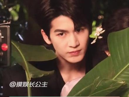 就这样发了狠,忘了情! #张凌赫 #王楚然 #田曦薇