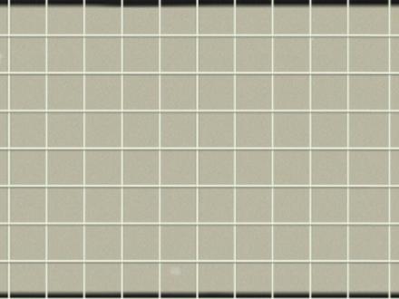 如果不小心被鲸鱼吃了,会怎么样? #硬核深度计划 #知识前沿派对 #青年创作者计划 #抖音精选app #鲸鱼