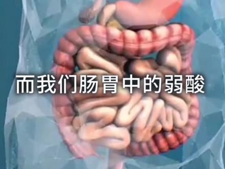人类强大的胃液 为什么消化不了金针菇呢?#用剪映出大片 @剪映