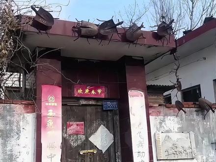 遇到这个我该跑吗?只有一次机会,选错了直接全剧终!#户外#野生动物#科普