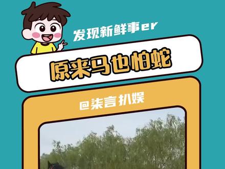 哦吼马也怕蛇#万万没想到 #马 #蛇 #搞笑