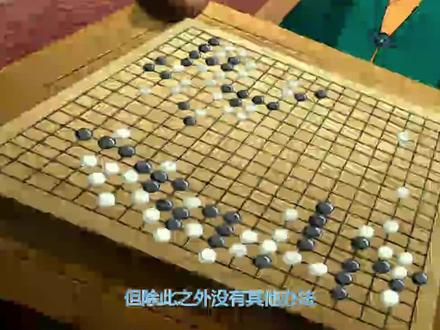 十九奇童对神童#童年动画 #围棋少年