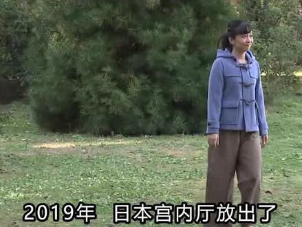 曾经受到父母宠溺,因弟弟出生丧失恩宠 #佳子公主 #纪子妃 #悠仁王子 #文仁亲王