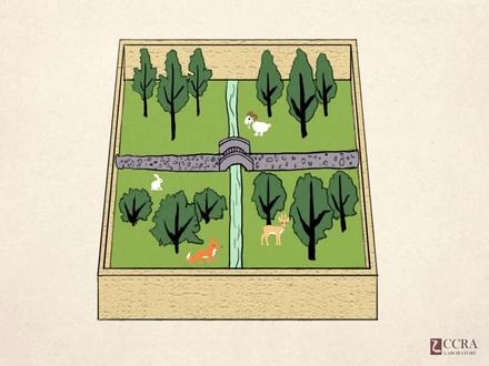 #汉字演变之“囿”字。《说文解字注》囿:苑有垣也。从囗。有聲。一曰所㠯養禽獸曰囿。𡈹。籒文囿。