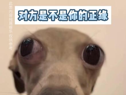 对方是不是你的正缘? #星盘 #星盘分析 #星盘解析 #星盘解读 #星盘讲解