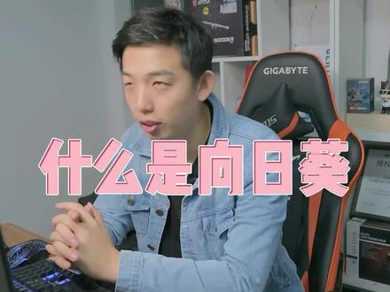 向日葵到底是什么,具体怎么使用呢?