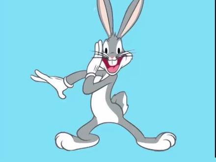 #宠物兔 磨牙一定不能忽视了