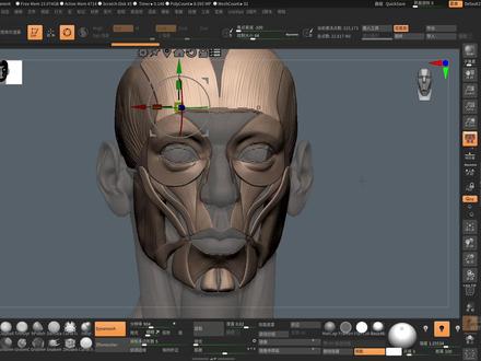 Zbrush多子工具快速一键分文件夹!! #zbrush #3d建模 #建模教程 #2026去开播 #这也能开播
